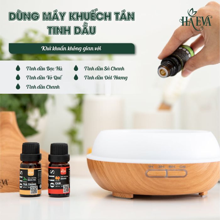 Máy khuếch tán tinh dầu thiết kế sang trọng tại HA EVA
