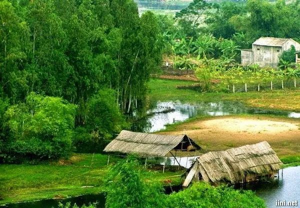 Hình ảnh minh họa đặc sắc: Chân dung ông Hai - người nông dân yêu làng, yêu nước