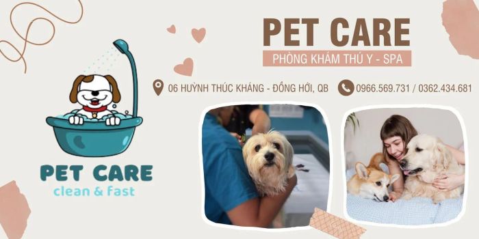 Hình ảnh 3 - Quy trình khám chữa bệnh chuyên nghiệp tại PET CARE