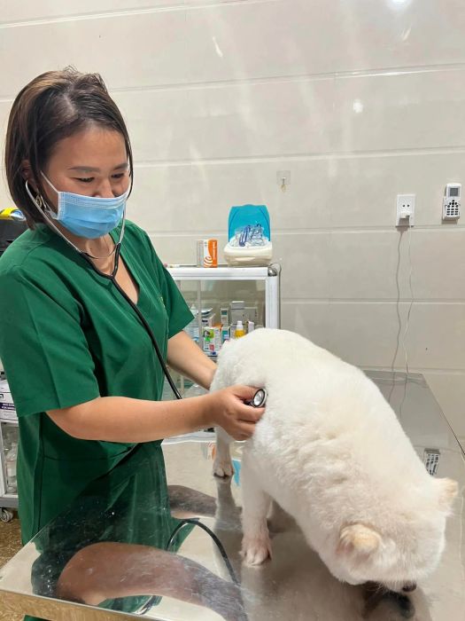 Hình ảnh 2 - Đội ngũ bác sĩ thú y tận tâm tại PET CARE