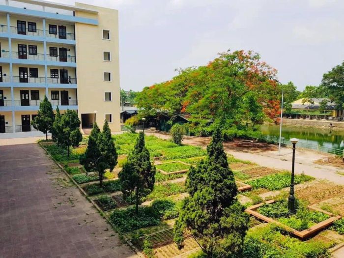 Trường Phổ Thông Liên Cấp Đào Duy Từ - Hình Ảnh 1