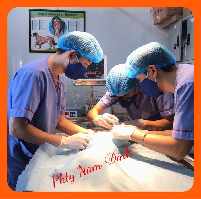 Không gian hiện đại tại Phòng Khám Thú Y Nam Định