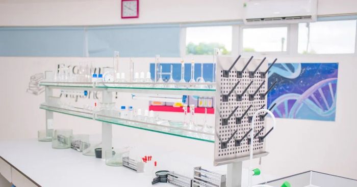 Không gian học tập sáng tạo tại Trường Mensa - Môi trường giáo dục lý tưởng cho sự phát triển toàn diện