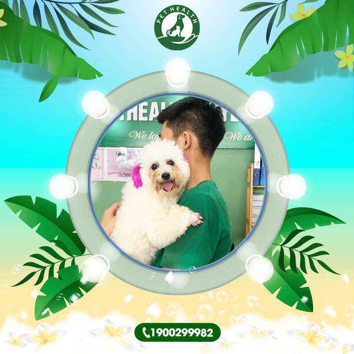 Bệnh Viện Thú Y PetHealth Nam Định - Hình ảnh minh họa không gian hiện đại và tiện nghi.