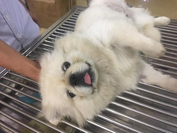 Không gian hiện đại tại Phòng Khám Thú Y Hải Hậu