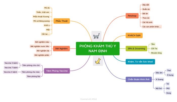 Hình ảnh đội ngũ bác sĩ tại Phòng Khám Thú Y Nam Định