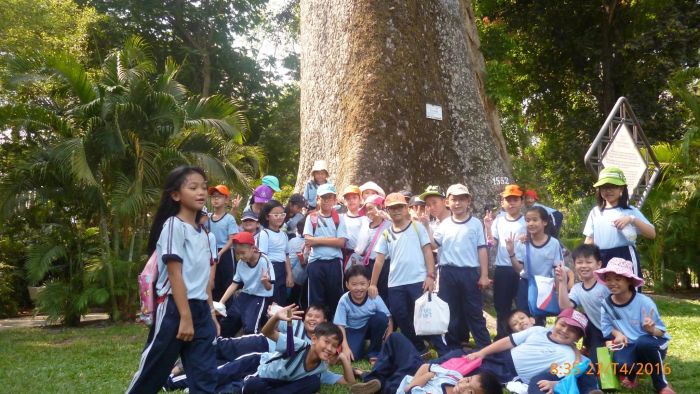Góc nhìn mới về Trường Tiểu học Thiên Hộ Dương - Ảnh 2