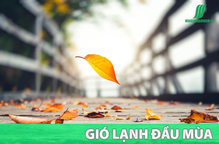 Ảnh minh họa (Nguồn internet) - hình 1