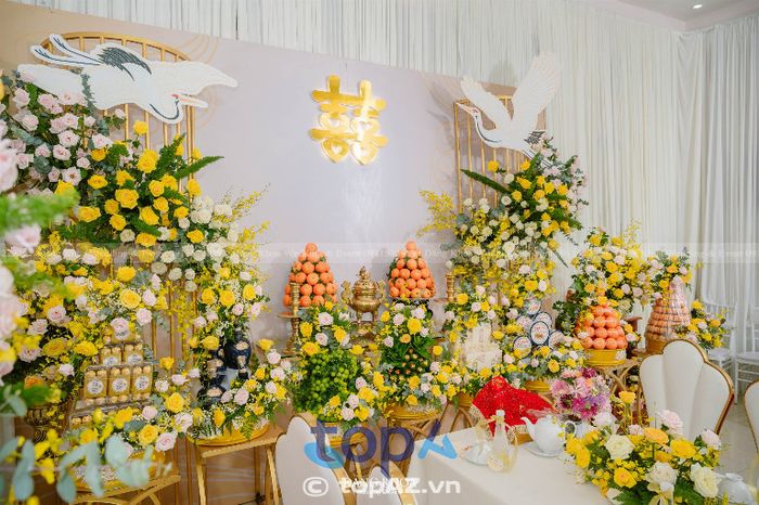 Cưới Hỏi Đăng Khoa