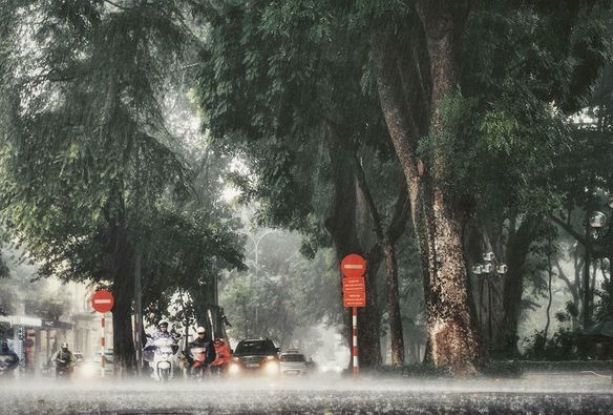 Tranh minh họa sinh động - Cơn mưa rào mùa hạ (Nguồn: Kho ảnh đa dạng internet)