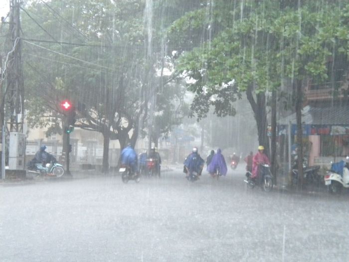 Tranh minh họa sống động - Trẻ con vui đùa dưới mưa (Nguồn: Kho ảnh internet)