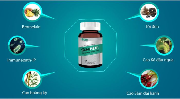Hình ảnh sản phẩm Sum Hevi (ảnh 1)