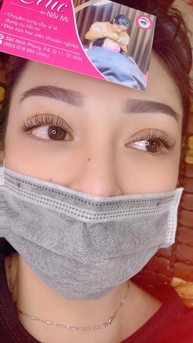 Hình ảnh Trúc Nối Mi 2