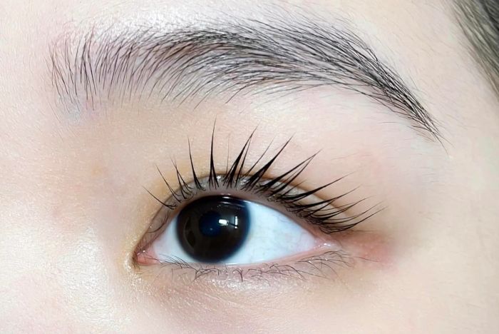 Hình ảnh tại Kim Thanh Nối Mi 1