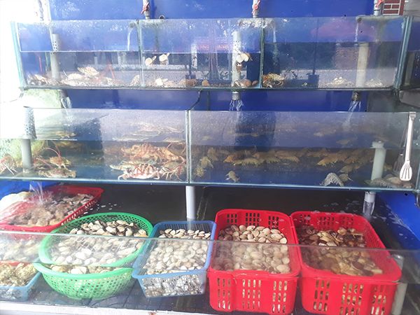 Nhà Hàng Hương Biển ảnh 2 - Góc nhìn chân thực về bữa tiệc hải sản thịnh soạn, nơi hương vị và không gian hòa quyện hoàn hảo.