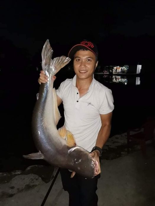 Góc câu cá lý tưởng tại Hồ Câu 117