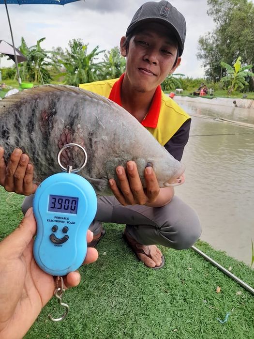 Góc thư giãn lý tưởng bên hồ câu