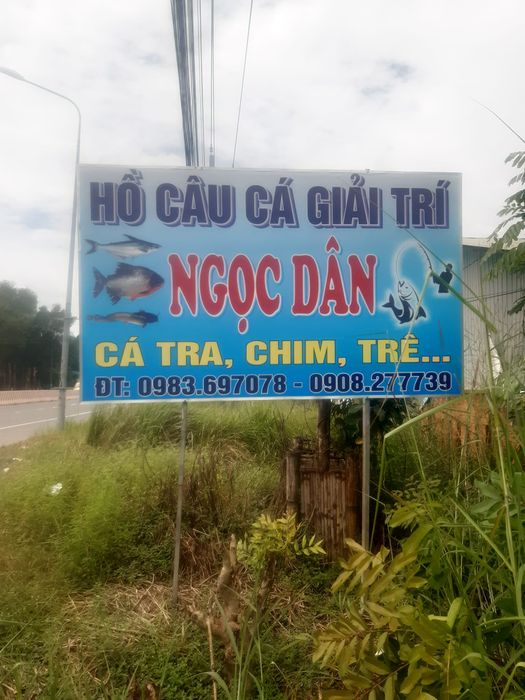 Góc thư giãn lý tưởng tại Hồ Câu Ngọc Dân