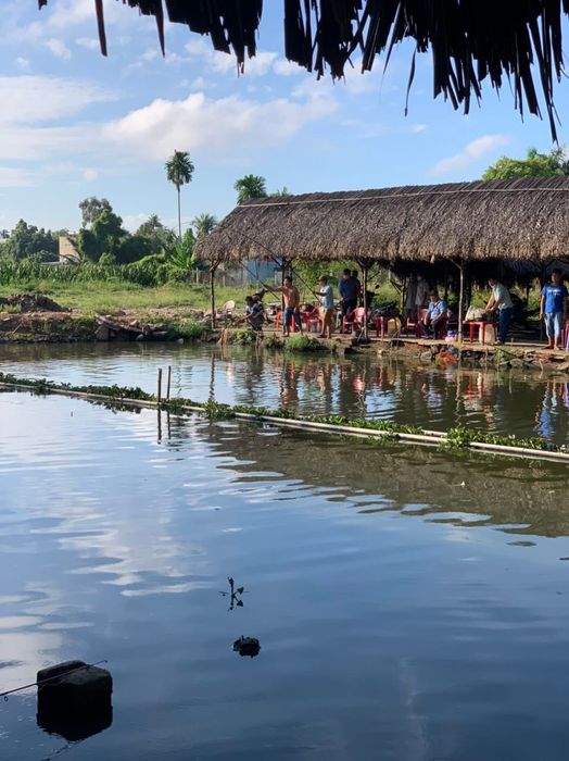 Góc câu cá lý tưởng bên hồ