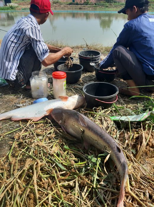 Không gian xanh mát tại Hồ Câu Thái Bình Dương