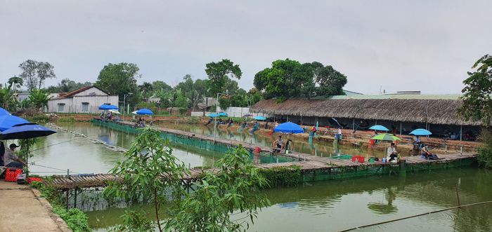 Góc câu cá lý tưởng bên hồ
