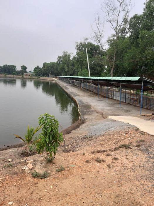 Góc câu cá lý tưởng bên hồ