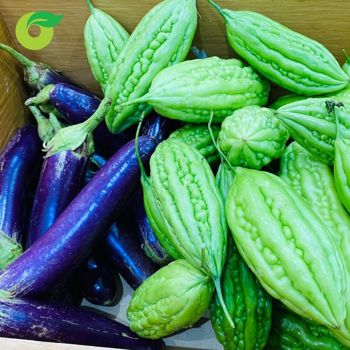 Ảnh Organica - Creating an Organic Lifestyle 1