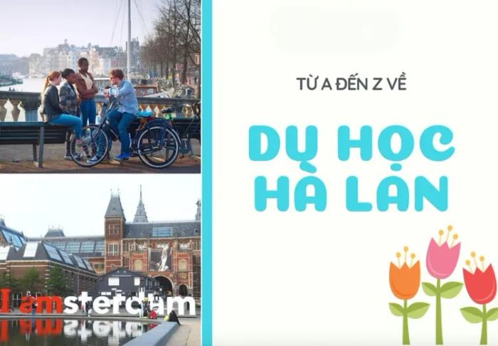 Hình ảnh đại diện Công ty Du học BlueSea