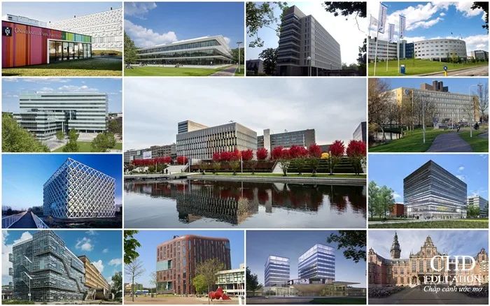 Hình ảnh hoạt động nổi bật của Du học CHD