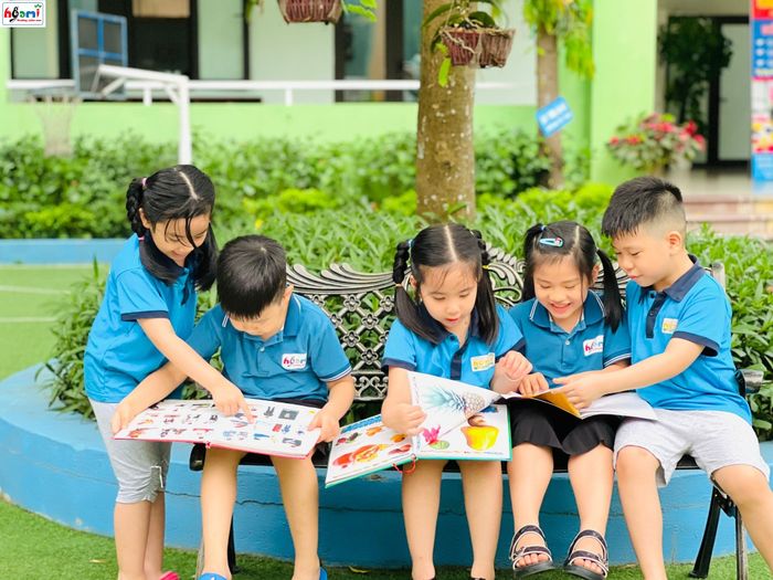 Mầm Non Họa Mi - Ảnh 1