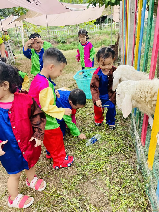 Khám phá không gian vui chơi sáng tạo tại Mầm Non Cô Tiên Xanh qua hình ảnh