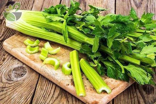 Không gian mua sắm sang trọng tại MISOL House