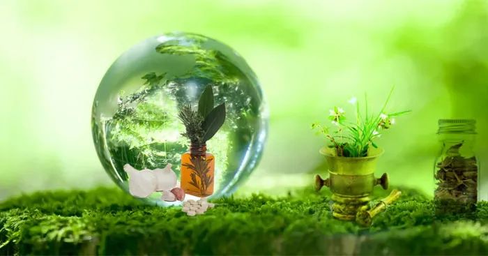 Hình ảnh minh họa số 1 (Nguồn: internet)
