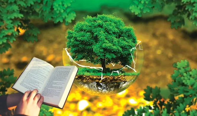 Hình ảnh minh họa số 1 (Nguồn: internet)