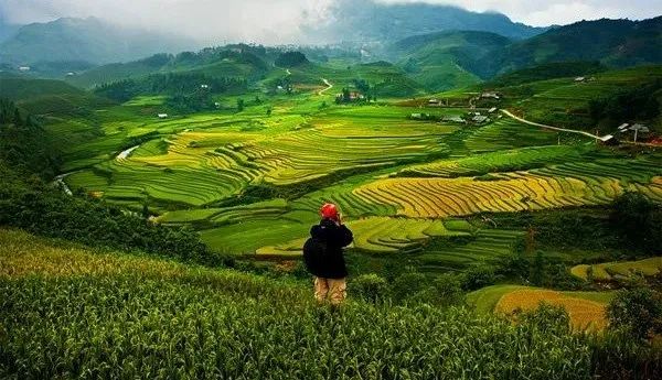 Hình ảnh minh họa số 1 (Nguồn: internet)
