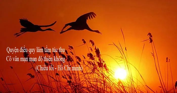 Hình ảnh minh họa sinh động (Nguồn: internet) - Ảnh 1