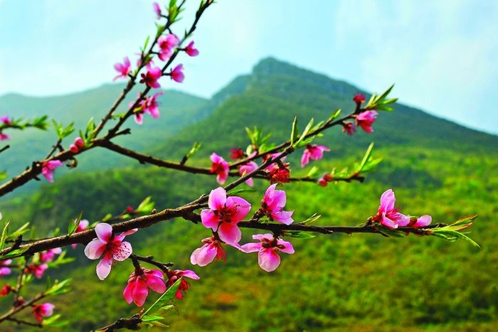 Hình ảnh minh họa (Nguồn: Internet) - Ảnh số 1