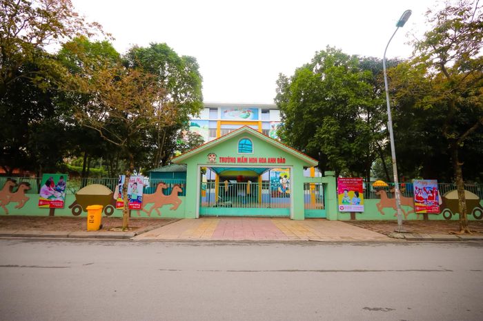 Trường Mầm non Hoa Anh Đào - Hình ảnh 1