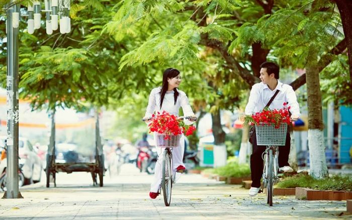 Ảnh minh họa (Nguồn internet) ảnh 1