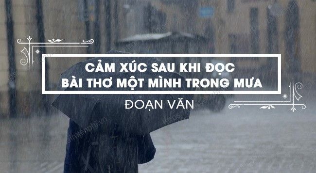 Hình ảnh minh họa đầy cảm xúc (Nguồn: internet)
