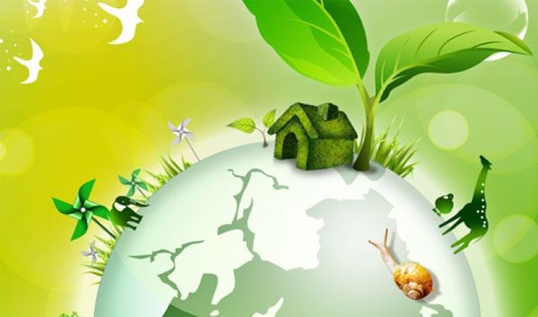 Hình ảnh minh họa sinh động (Nguồn internet)