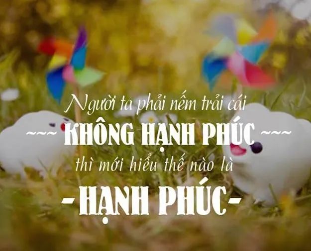 Ảnh minh họa (Nguồn internet) ảnh 1