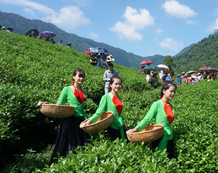 Ảnh minh họa: Thưởng trà truyền thống