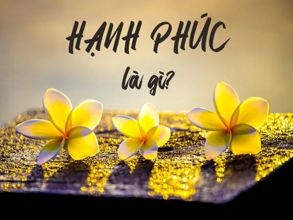 Ảnh minh họa (Nguồn internet) ảnh 1
