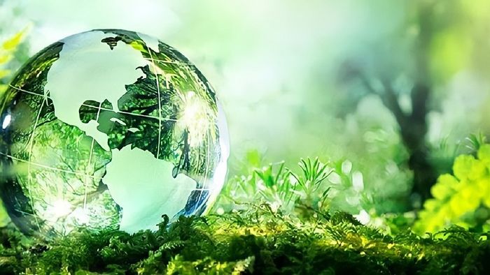 Hình ảnh minh họa trực quan sinh động (Nguồn internet)