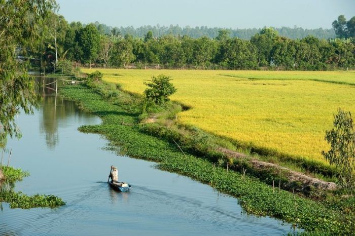 Hình ảnh minh họa chân thực về làng quê Việt Nam (Nguồn: Internet)
