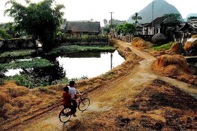 Hình ảnh minh họa sống động về làng quê (Nguồn: Internet)