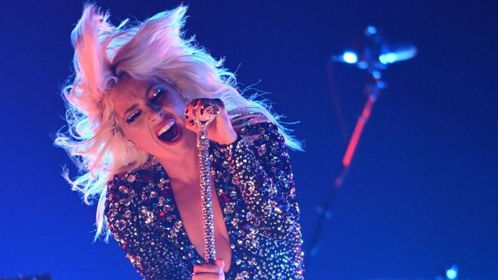 Hình ảnh đặc biệt về Lady Gaga (Nguồn: Internet)