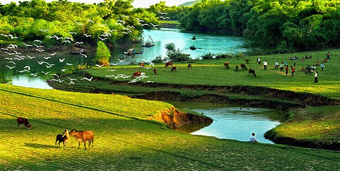 Hình ảnh minh họa chân thực (Nguồn: Internet)
