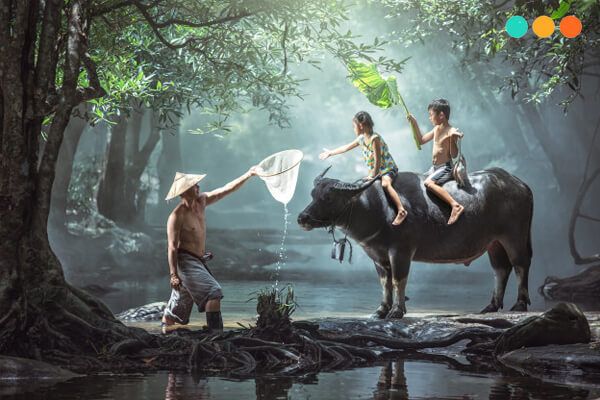 Hình ảnh minh họa sống động về đời sống nông thôn (Nguồn: Internet)